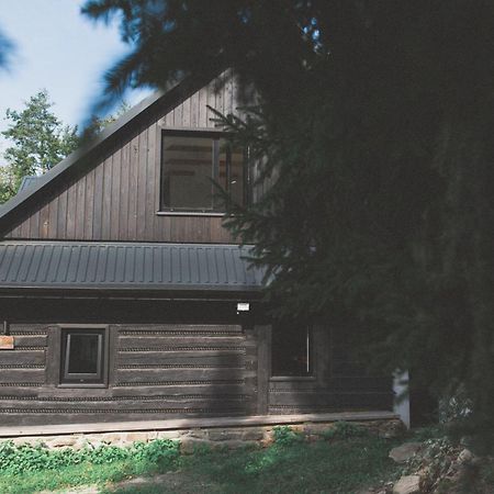 The Cabin Porabka Villa Targanice Exterior photo